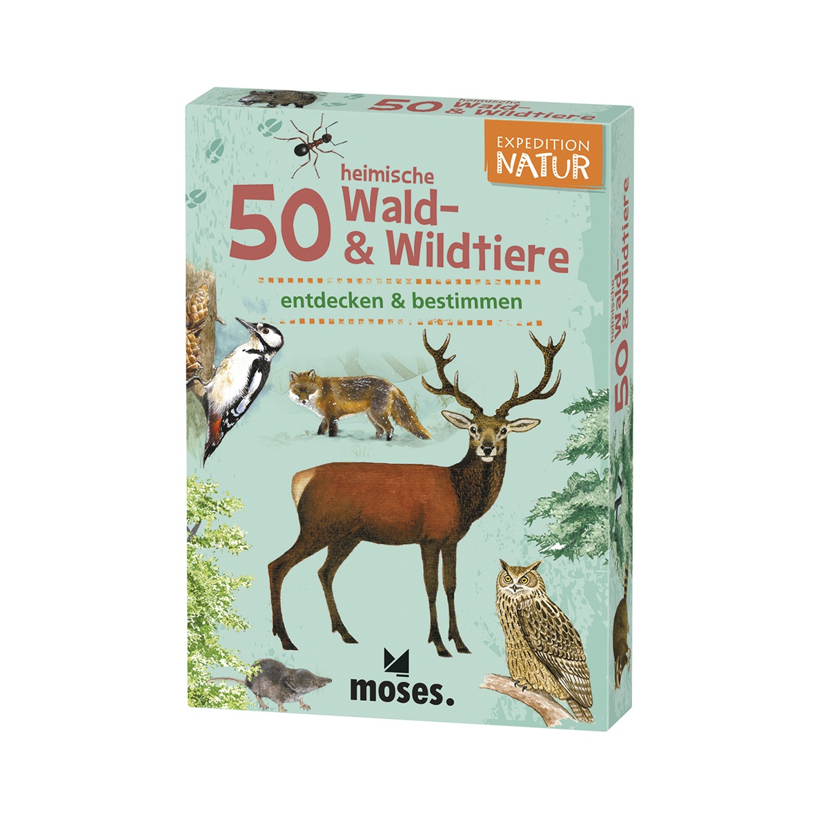 Expedition Natur - 50 heimische Wald- & Wildtiere moses