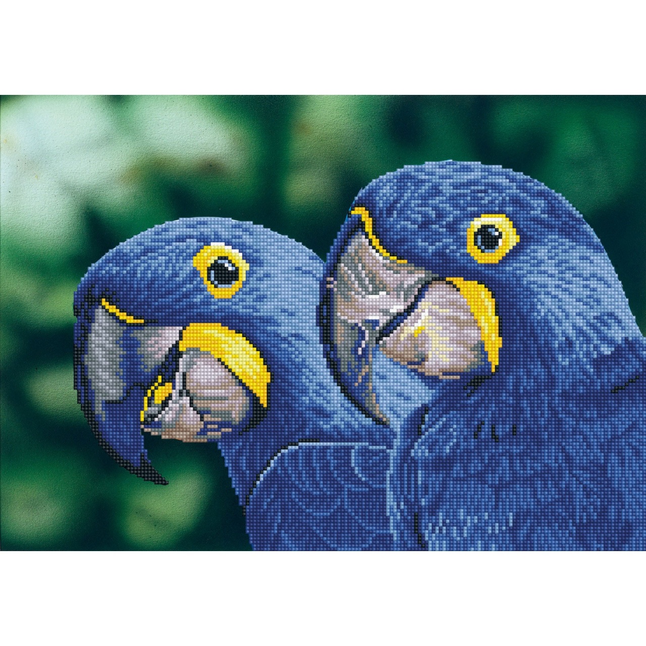 Diamond Dotz Blue Hyacinth Macaws