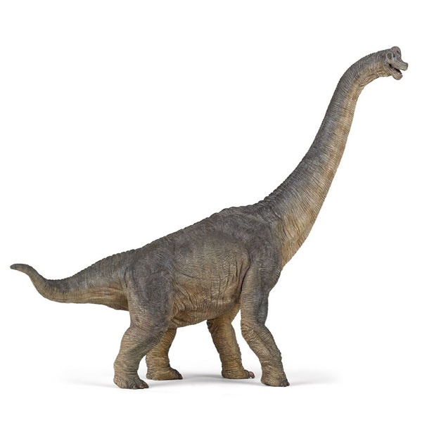 Brachiossaurus 55030 von Papo