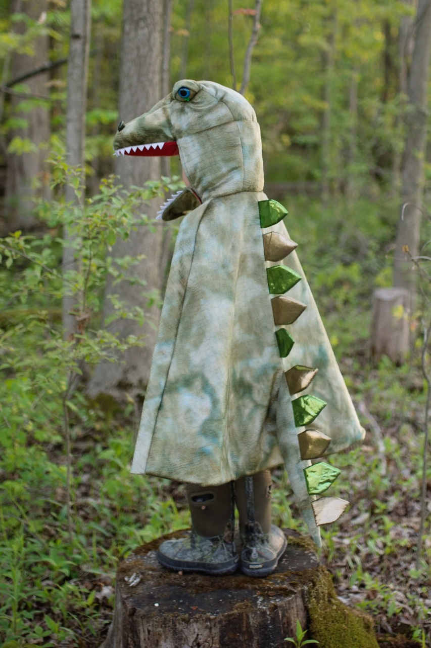 Kostüm T-Rex Cape mit Krallen 4-6 Jahre grün